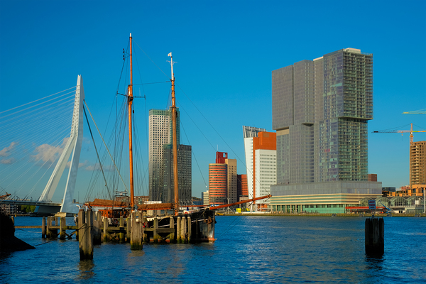 Rotterdam skyscrapers skyline and Erasmusbrug bridge over of Nieuwe Maas river. Rotterdam by Dmitry Rukhlenko