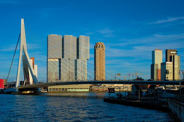 Rotterdam skyscrapers skyline and Erasmusbrug bridge over of Nieuwe Maas river. Rotterdam by Dmitry Rukhlenko
