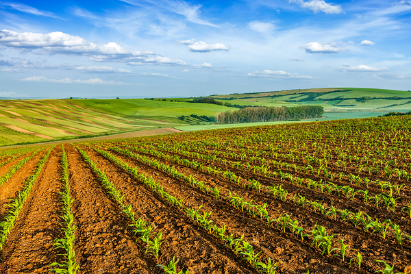 Rolling fields of Moravia by Dmitry Rukhlenko