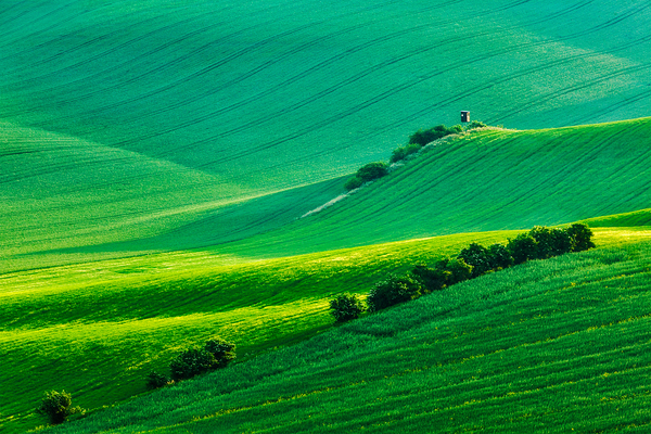 Moravian rolling landscape with hunting tower shack by Dmitry Rukhlenko