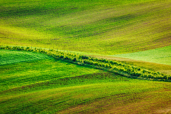Abstract pattern of rolling fields by Dmitry Rukhlenko