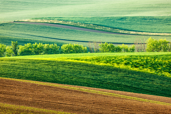 Moravian rolling landscape by Dmitry Rukhlenko