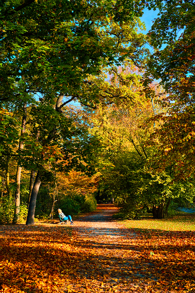 Golden autumn fall October in famous Munich public park   Englishgarten. Munchen Bavaria Germany by Dmitry Rukhlenko
