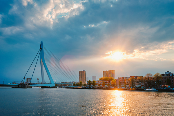 Rotterdam skyline cityscape with Erasmusbrug bridge over Nieuwe Maas in contre jur on sunse Netherlands. by Dmitry Rukhlenko