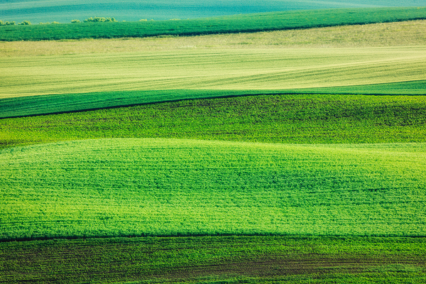 Abstract pattern of rolling fields by Dmitry Rukhlenko