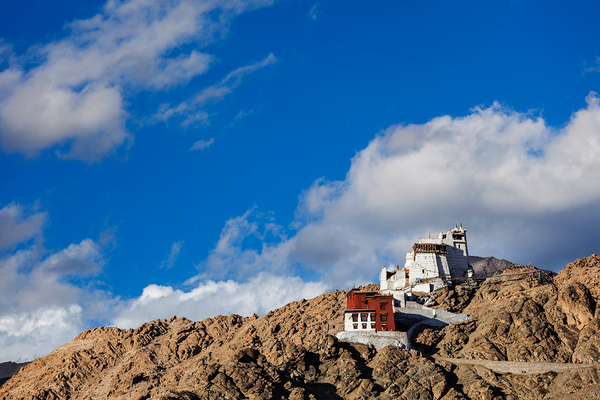 Namgyal Tsemo gompa and fort. Leh India by Dmitry Rukhlenko