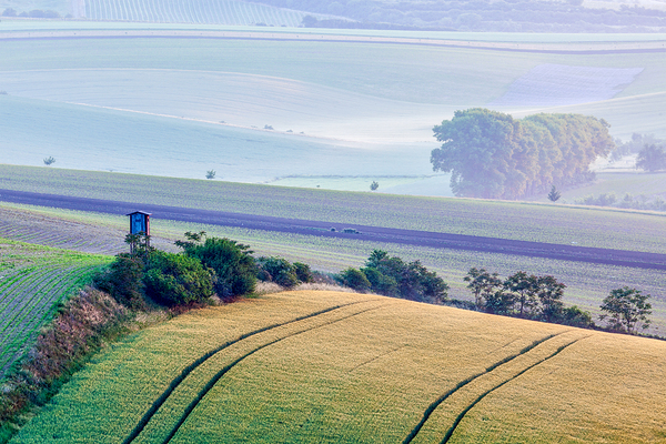 Moravian rolling landscape with hunting tower shack by Dmitry Rukhlenko