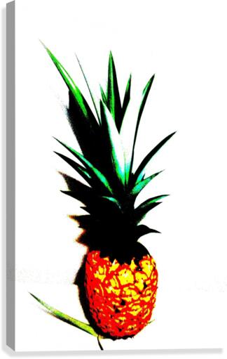 Mod Pineapple Canvas Print