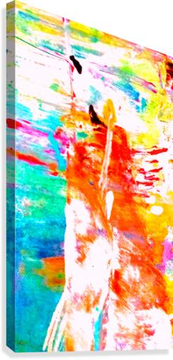 Catfish Canvas Print