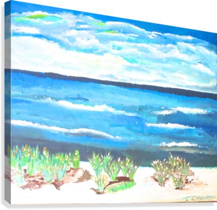 Beach  Canvas Print