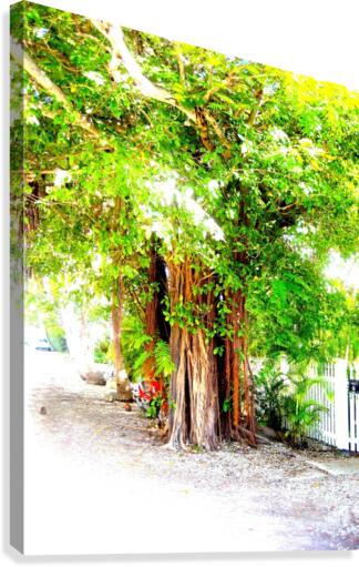 Hobbit Tree Canvas Print