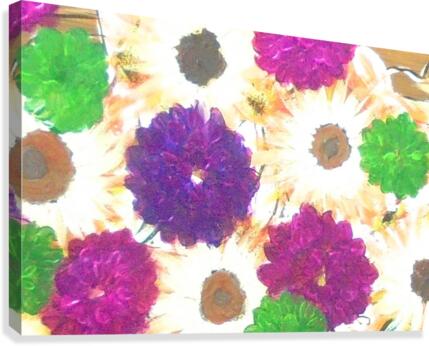 Purple Mums Canvas Print