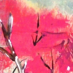 Pink Feathers and Sticks