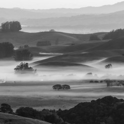 Morning Fog PRINT 1520