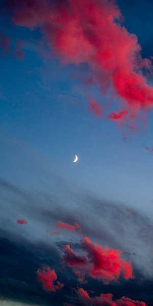 Pink and Blue and You Too