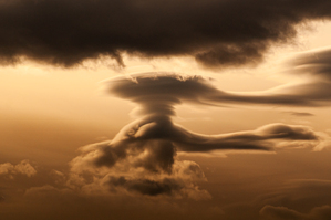 The Guide - Original