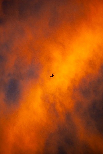 Godspeed Icarus Print