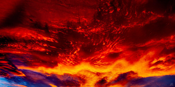 Dancing on the Ceiling Print