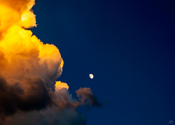 Giants of Light Print