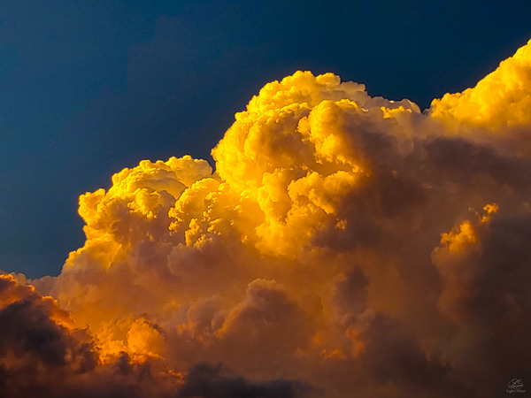 Gold in Them Hills Print