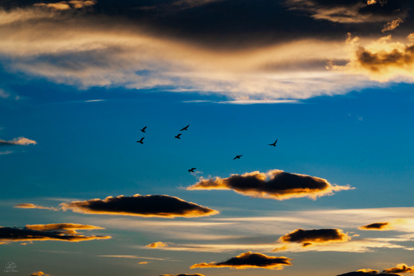 The Lightness of Freedom Print