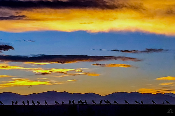 Murder at Sunset Print