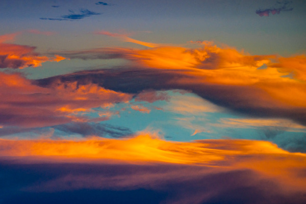 Peaches and Cream Print