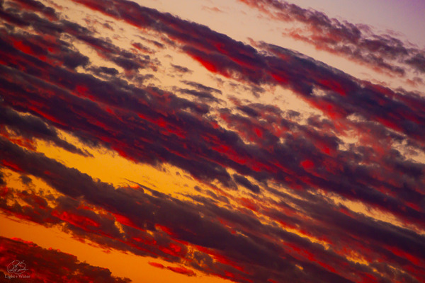 Strawberry Shortcake Print