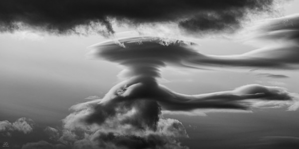 The Guide - Black and White Print