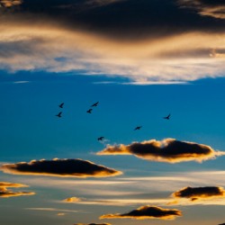 The Lightness of Freedom