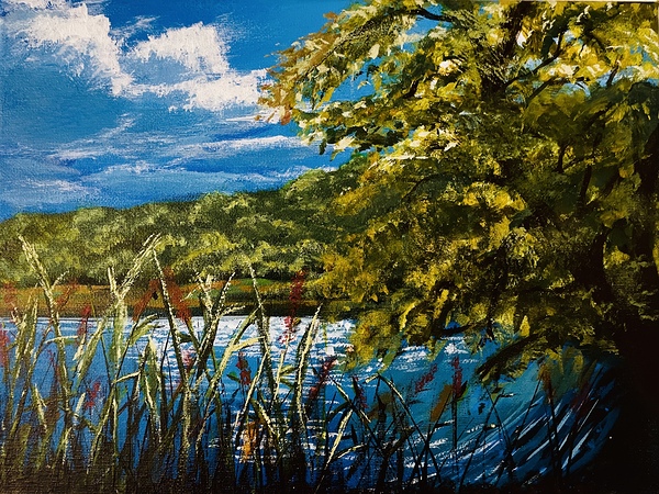 Soothing Mornings by Erin Randall
