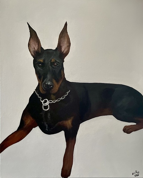 Doberman Pinscher by Erin Randall