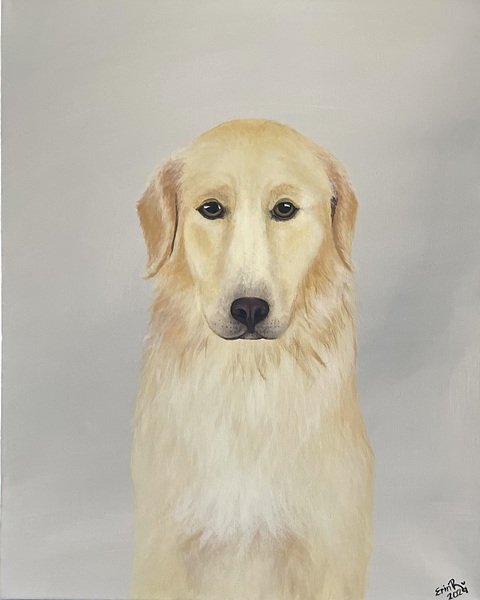 Golden Retriever by Erin Randall