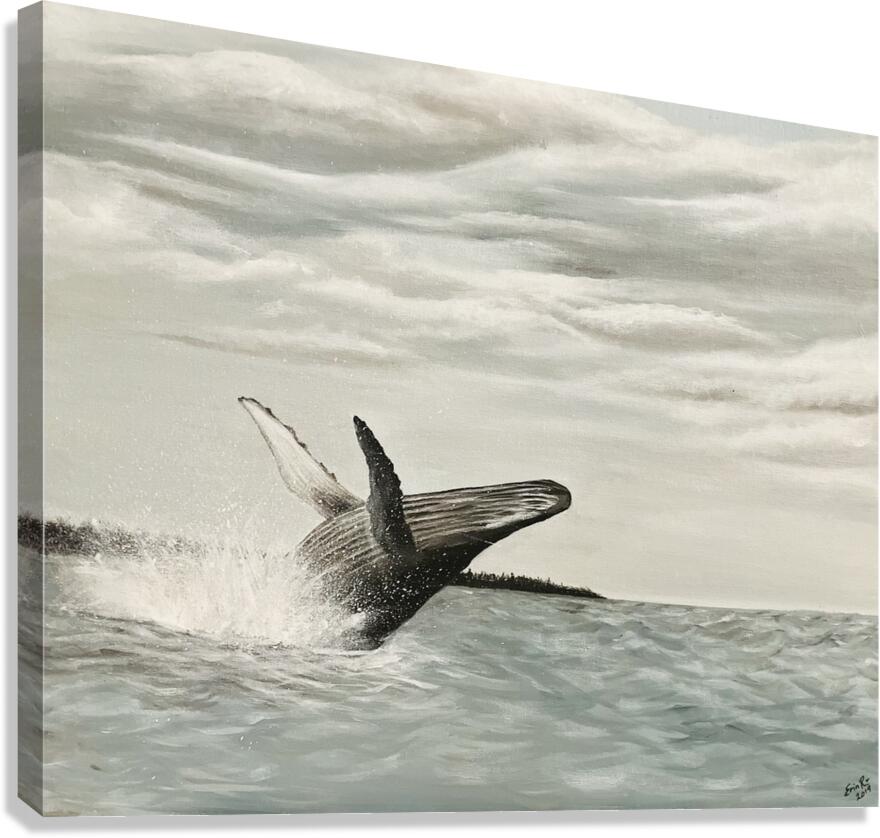 Breathtaking Spectacle Canvas Print
