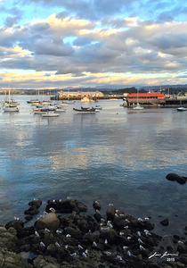 Monterey Bay Harbor