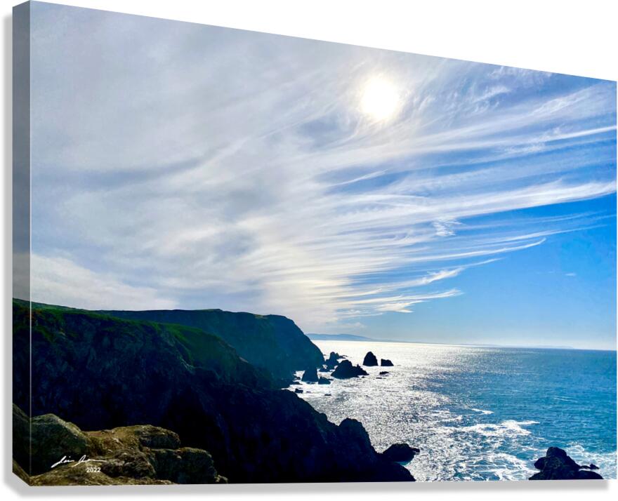 Bodega Head Canvas Print