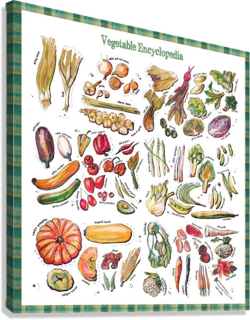 Vegetable Encyclopedia  Canvas Print