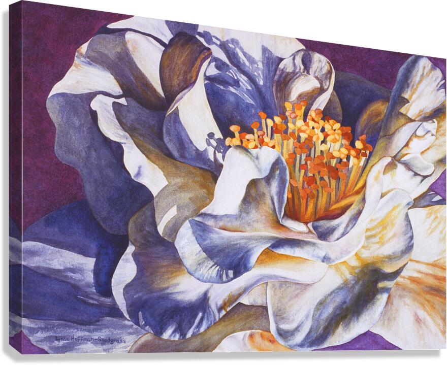 Desirea Canvas Print