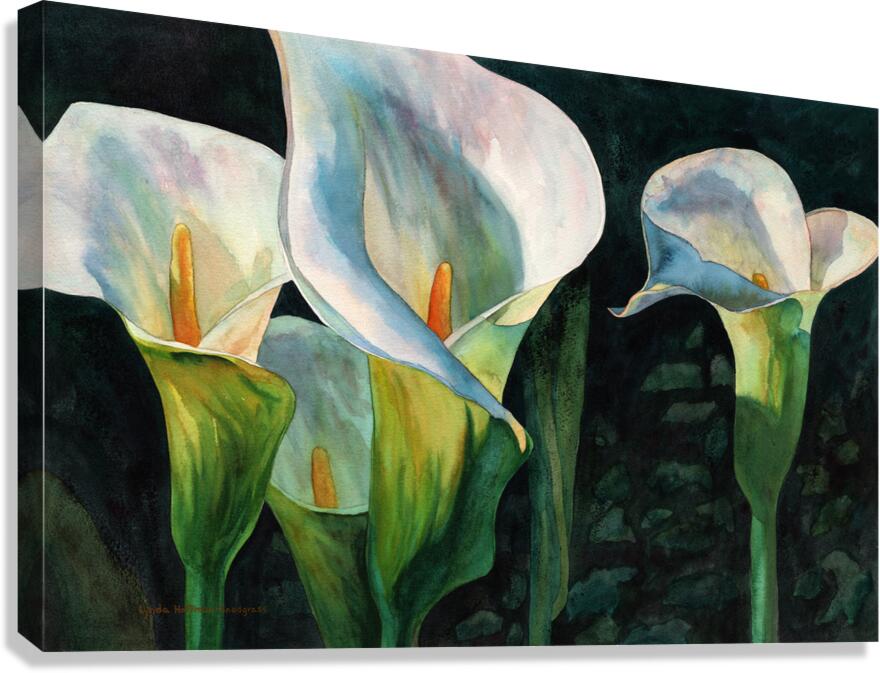 Mystique Canvas Print
