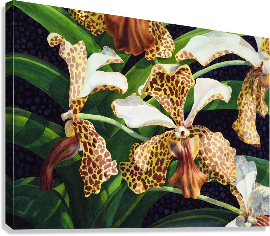 Tachannon Canvas Print