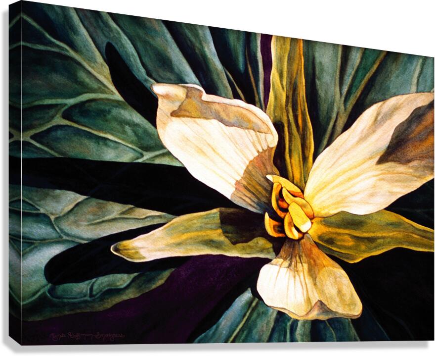 Trillium Canvas Print