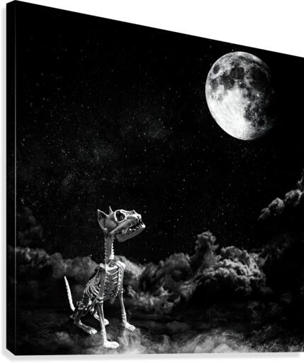 SkeleyCat Canvas Print