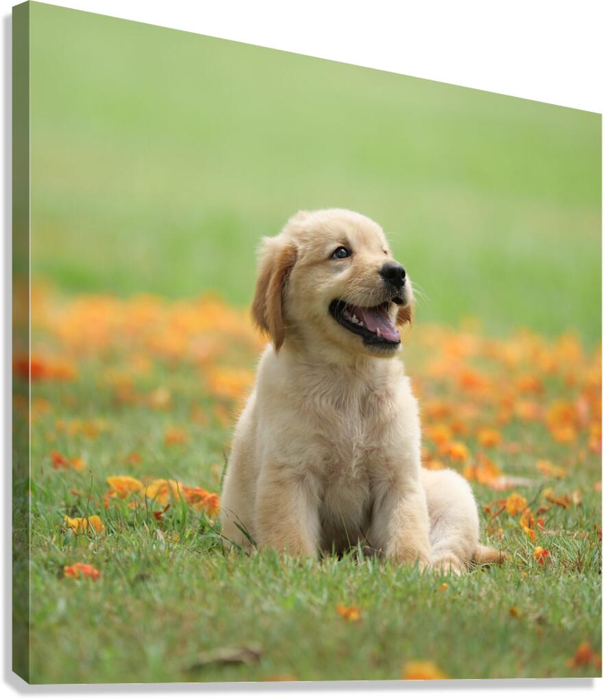 Inclave  Casino List Canvas Print