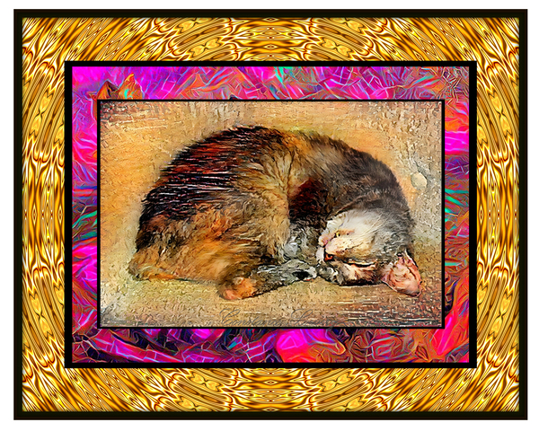 Cat Dreaming Print