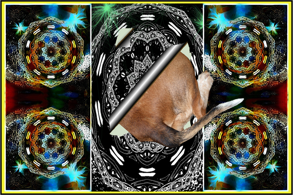 Funky Explorer  Print