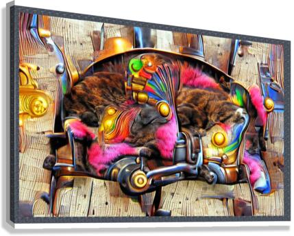 Kitty Sleeping Canvas Print