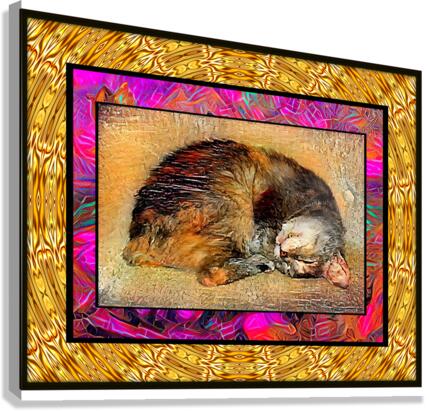 Cat Dreaming Canvas Print
