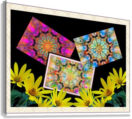 Daisy Abstract Canvas Print