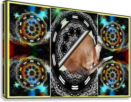 Funky Explorer  Canvas Print