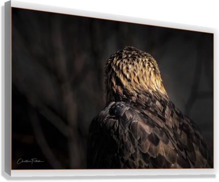 Jimmy Canvas Print